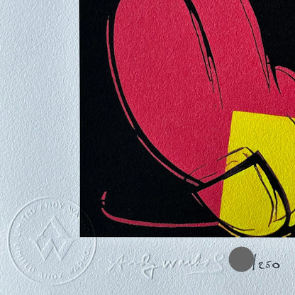 ANDY WARHOL double mickey