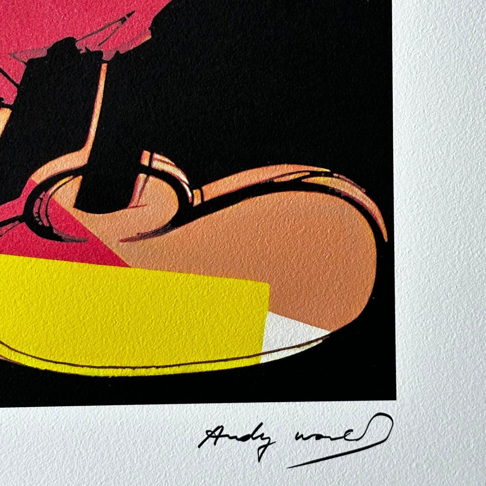 ANDY WARHOL double mickey