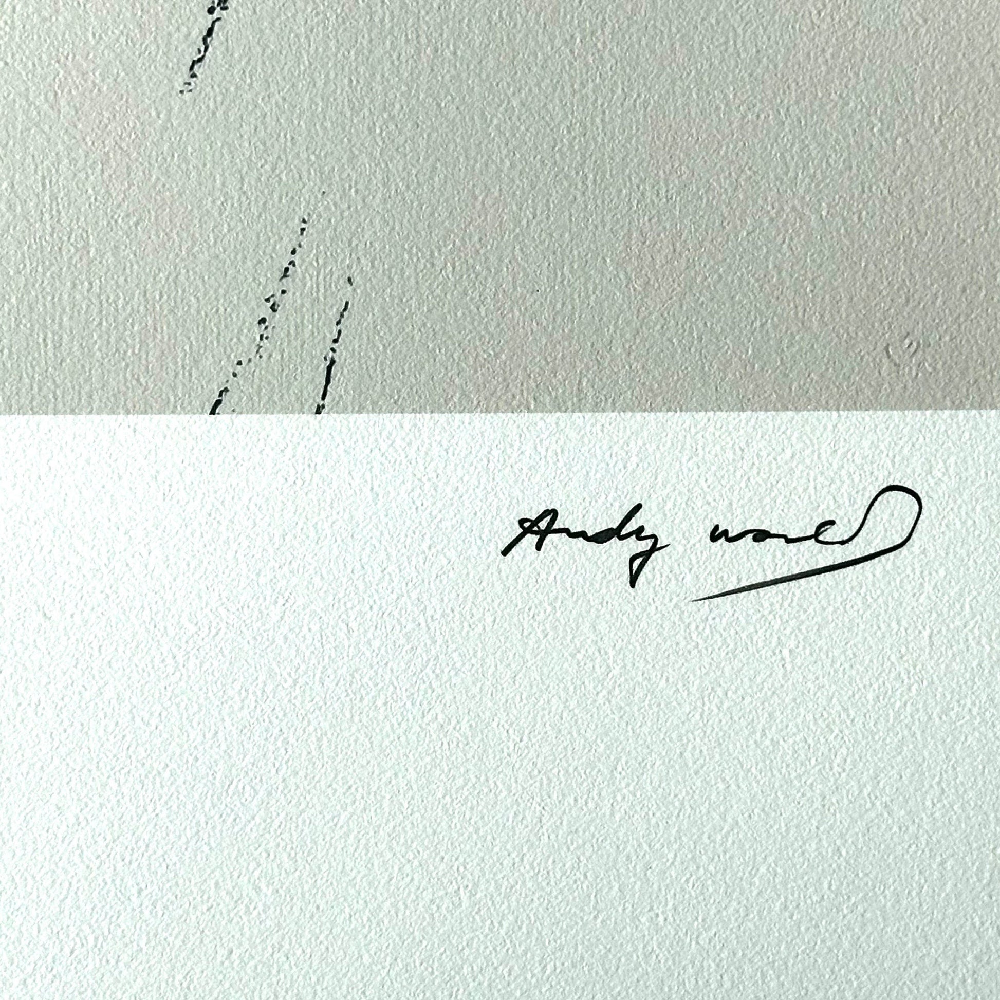 Andy warhol goethe