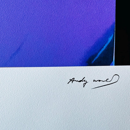 Andy warhol Karen kaine